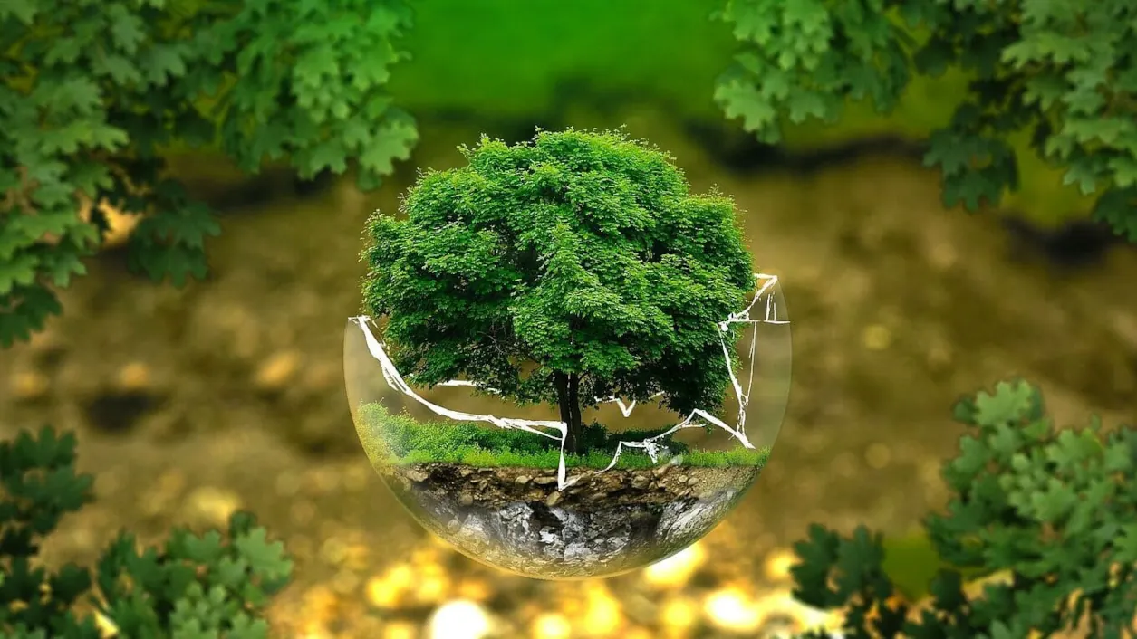 tree in sphere greenpiece